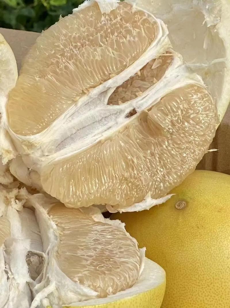 湖北白柚皮薄肉厚产地看货伦价量大从优欢迎订购