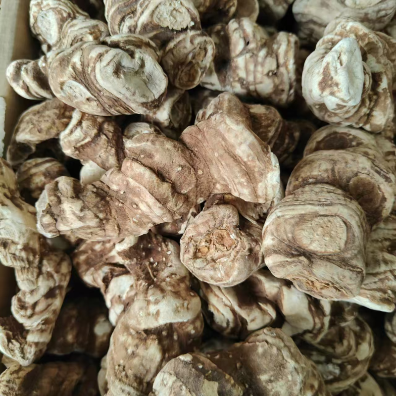 云南‌‌滇重楼，基地一手货源直发，量大从优，视频看货