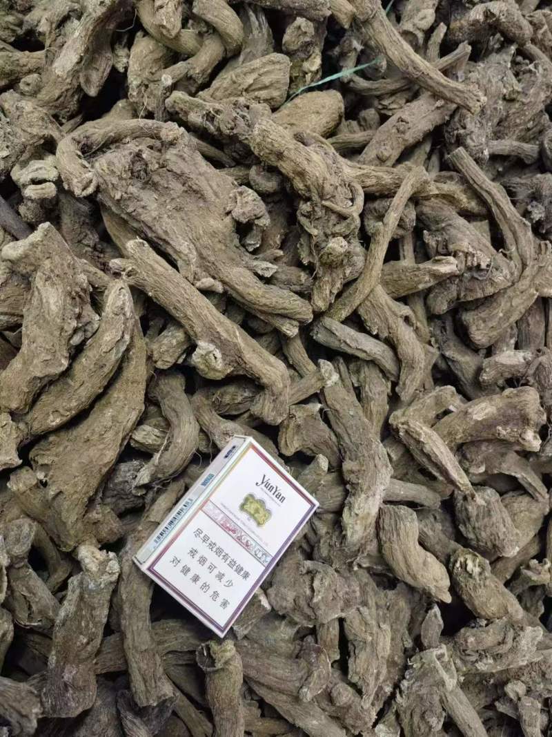 云木香云南产地一手货源直发量大从优质量保证
