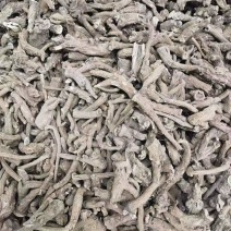 云木香云南产地一手货源直发量大从优质量保证