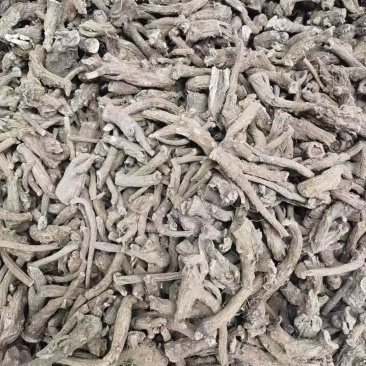 云木香云南产地一手货源直发量大从优质量保证