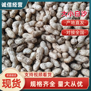 [白沙花生]河南精品鲜花生大白沙小白沙产地直发电商团购