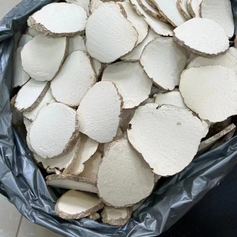 虎乳灵芝片虎奶菌虎奶菌片虎奶菇精选虎乳菌片