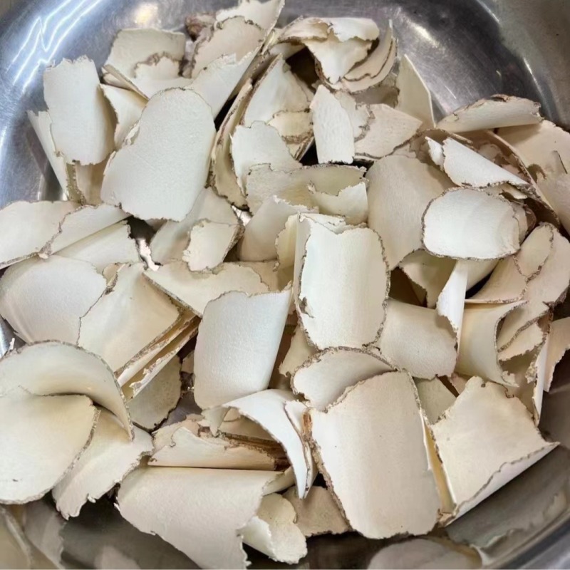 虎乳灵芝片虎奶菌虎奶菌片虎奶菇精选虎乳菌片