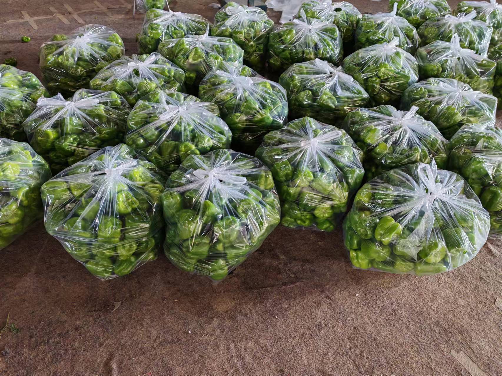 小圆椒在超市货架上的陈列效果