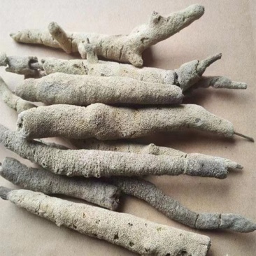 紫霄花原料紫梢花粉