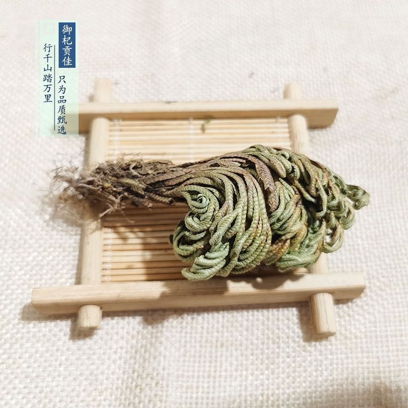 九死还魂草九死还魂草卷柏不死草还阳草遇水活