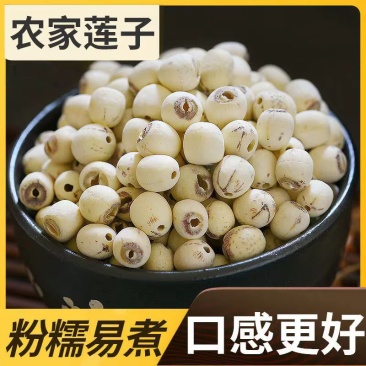 白莲子,机器去芯,磨皮白莲,无杂莲,死莲,香糯可口