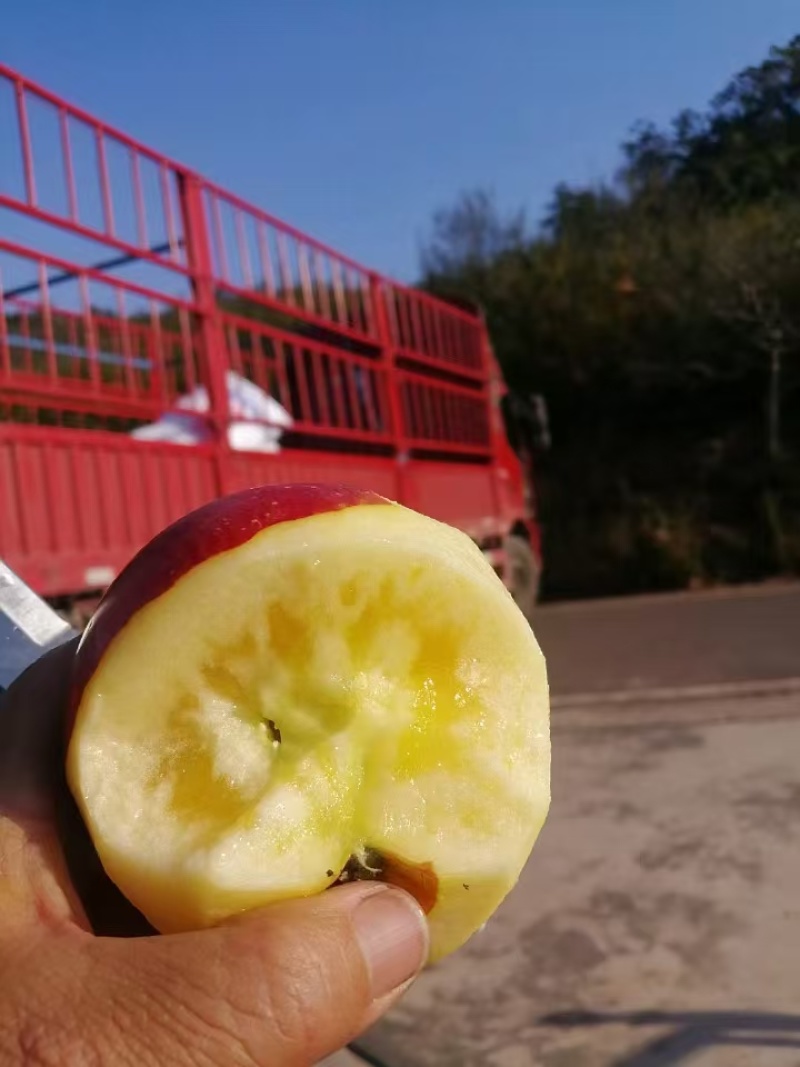 【推荐】精品高山冰糖心红富士苹果产地直发品质保障价优
