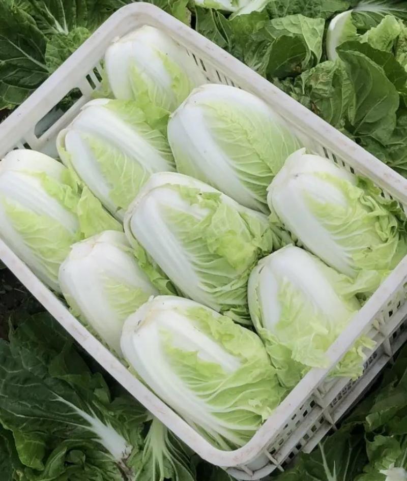 【推荐】四川精品苹果红富士苹果口感好冰糖心甜度高