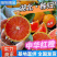 《中华红橙》秭归脐橙红心橙湖北脐橙现摘现发代发全国