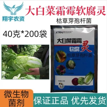 山东润禾秀田润禾大白菜霜霉软腐灵枯草芽孢杆菌