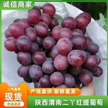 【精品】渭南蒲城红提葡萄，颜色红果粉好，口感脆，大量上市中