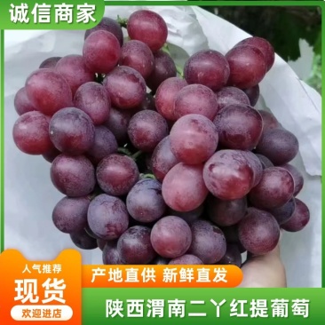 【精品】渭南蒲城红提葡萄，颜色红果粉好，口感脆，大量上市中