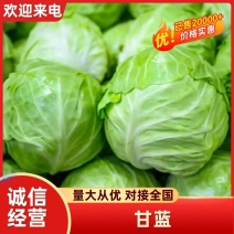 平度有机甘蓝，大量上市有货，绿球空心，松软绿色！