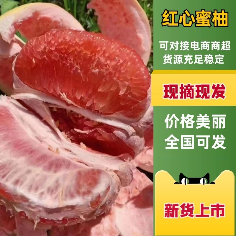 柚子红心柚和平红心柚大量上市中汁多饱满产地直发