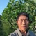 江苏速生杨树苗种植基地免费提供技术指导规格齐全量大从优