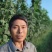 江苏速生杨树苗种植基地免费提供技术指导规格齐全量大从优