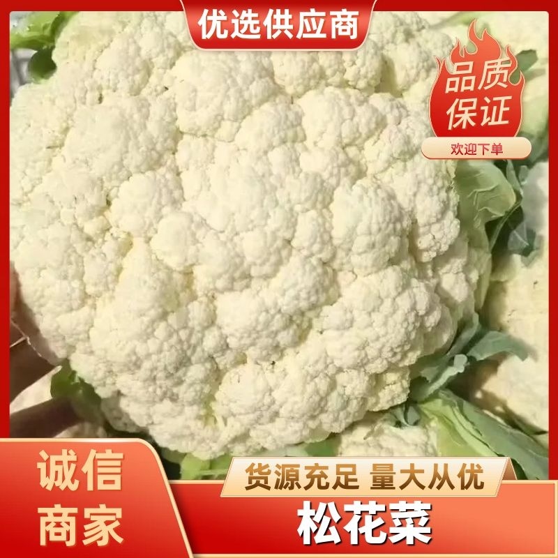 陕西精品松花菜大量供应，货源充足，量大从优欢迎咨询