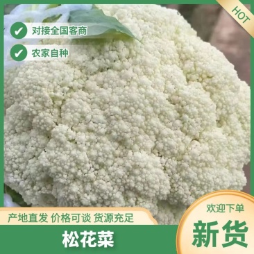 陕西有机花，白面青埂松花菜大量上市，品质三包