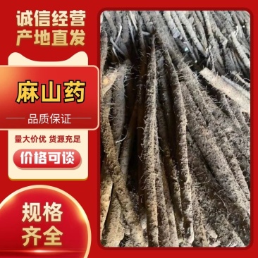 保定河北麻山药，紫药量大从优对接各大电商平台！大型超市