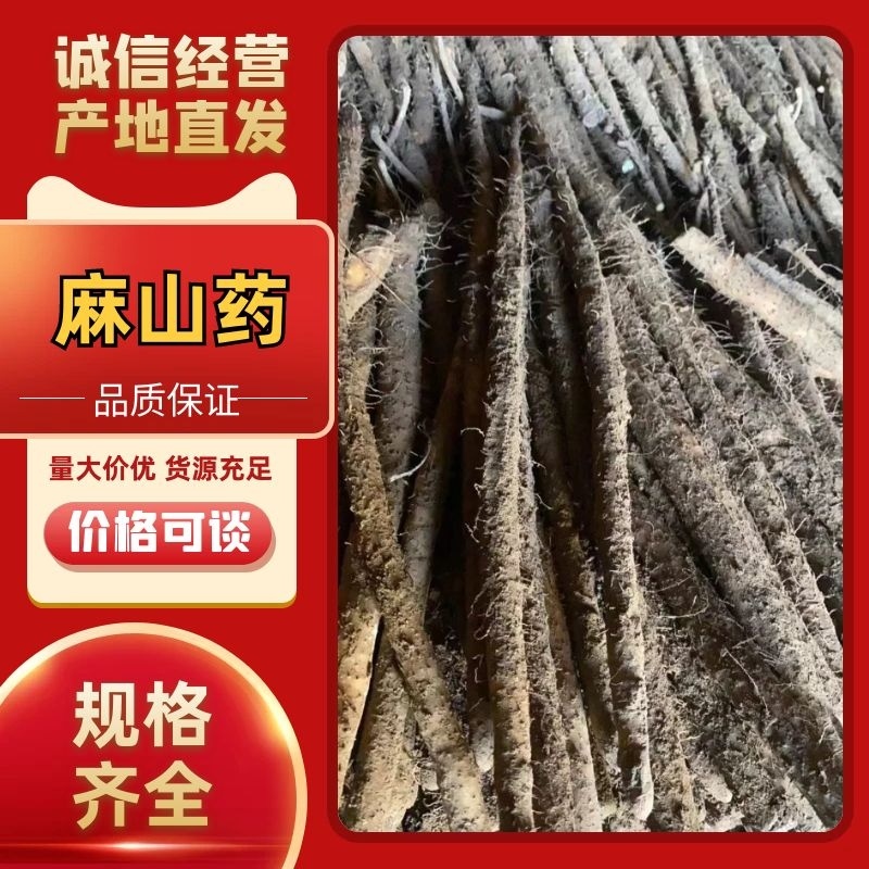 保定河北麻山药，紫药量大从优对接各大电商平台！大型超市