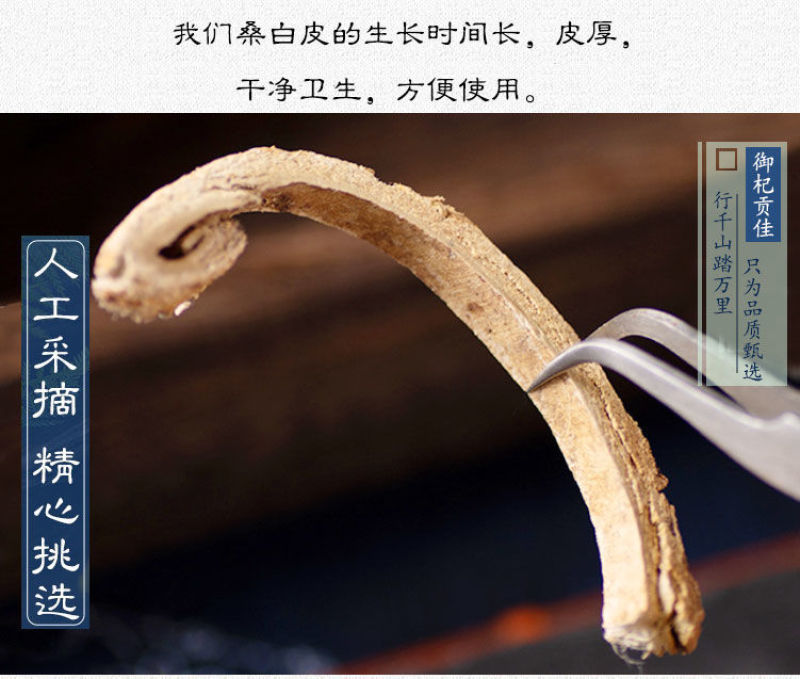 桑白（野）老桑树根皮，野生桑白皮新货上市，量大批发