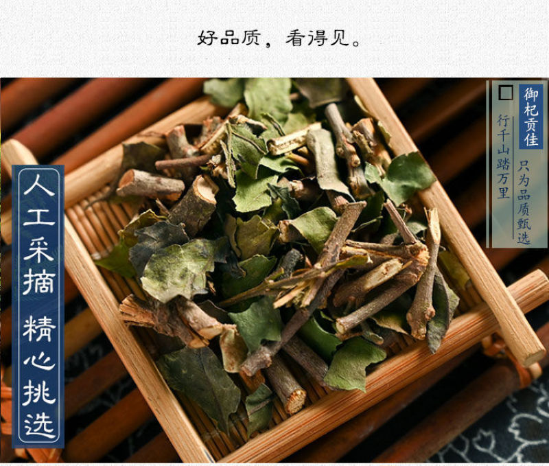 桑寄生广西批发各种无硫中药材批发中药材各种规格寄生