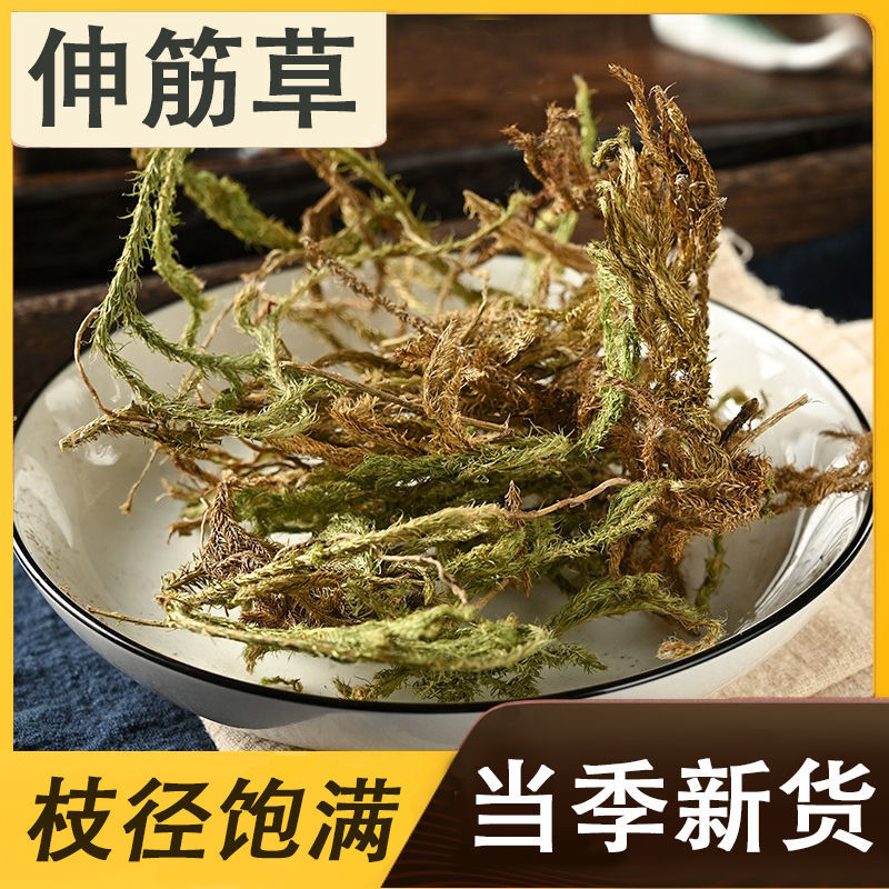 伸筋草新货正品无硫伸筋草货干无杂质无硫