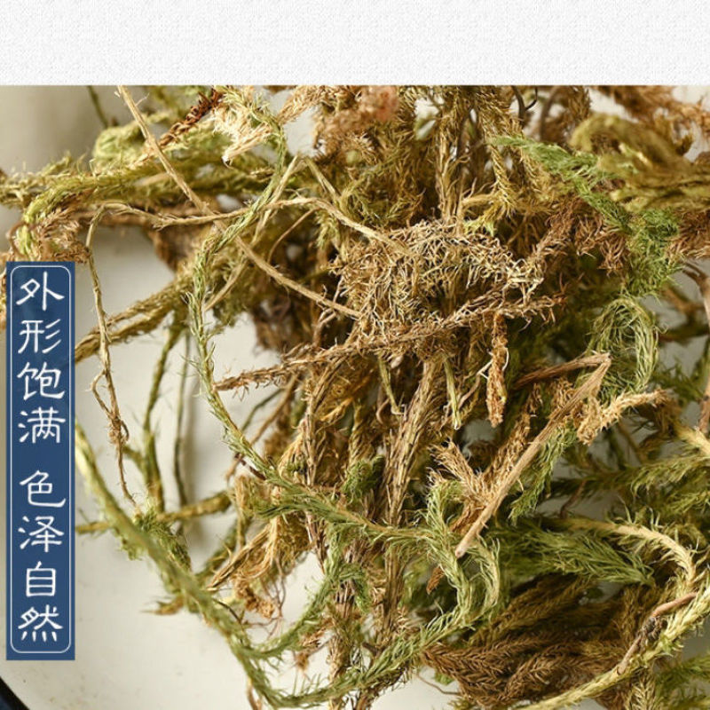 伸筋草新货正品无硫伸筋草货干无杂质无硫