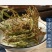 伸筋草新货正品无硫伸筋草货干无杂质无硫