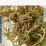 伸筋草新货正品无硫伸筋草货干无杂质无硫