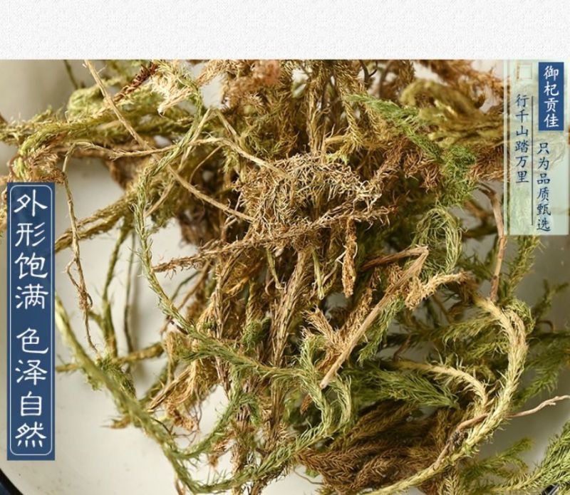 伸筋草新货正品无硫伸筋草货干无杂质无硫