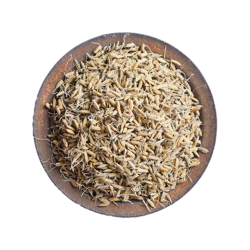 稻芽生稻芽中药材生稻牙谷牙有炒稻芽炒谷芽稻牙谷牙