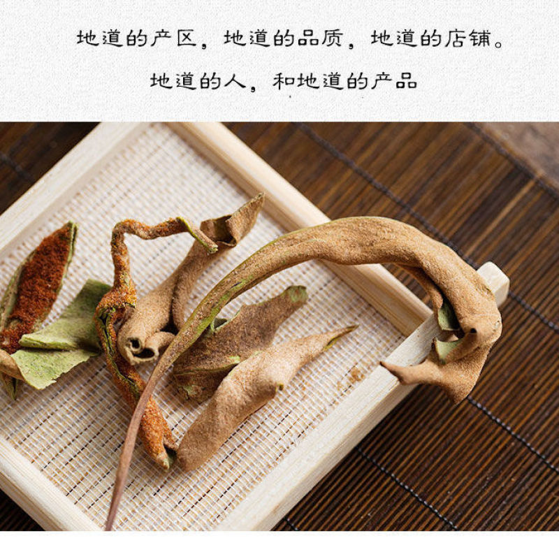 石韦中草野生中药材石苇草新鲜干货小叶石苇刀口药金星