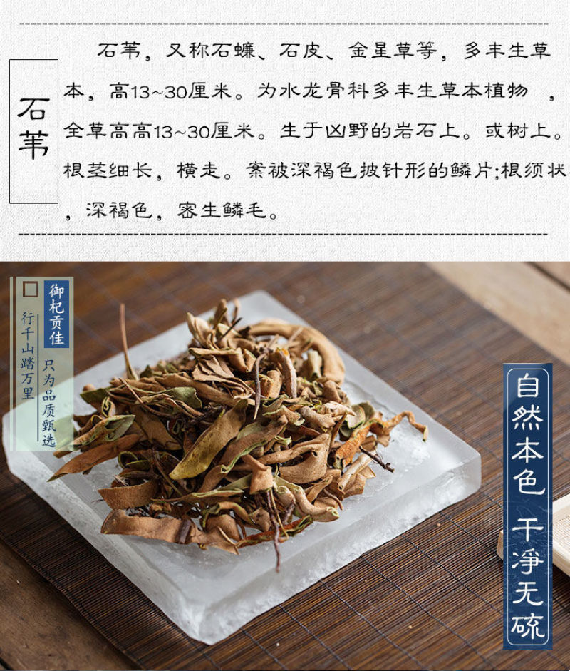 石韦中草野生中药材石苇草新鲜干货小叶石苇刀口药金星
