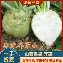 《山西芥菜》精品芥菜/对接全国支持一件代发/日供应2万斤便宜