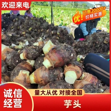 芋头，广西芋头，荔浦芋头，切片芋头，真空包装芋头