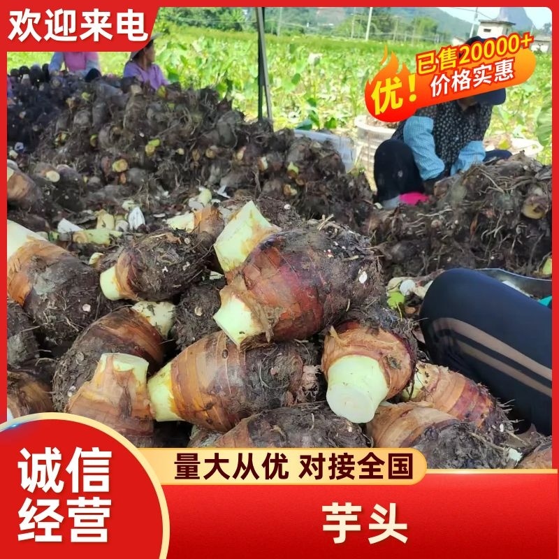 芋头，广西芋头，荔浦芋头，切片芋头，真空包装芋头
