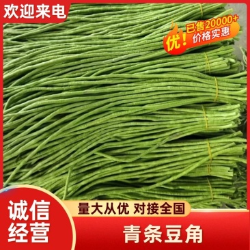 【推荐】广西精品豆角青条豆角产地直发品质保障价优欢迎