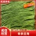 【推荐】广西精品豆角青条豆角产地直发品质保障价优欢迎