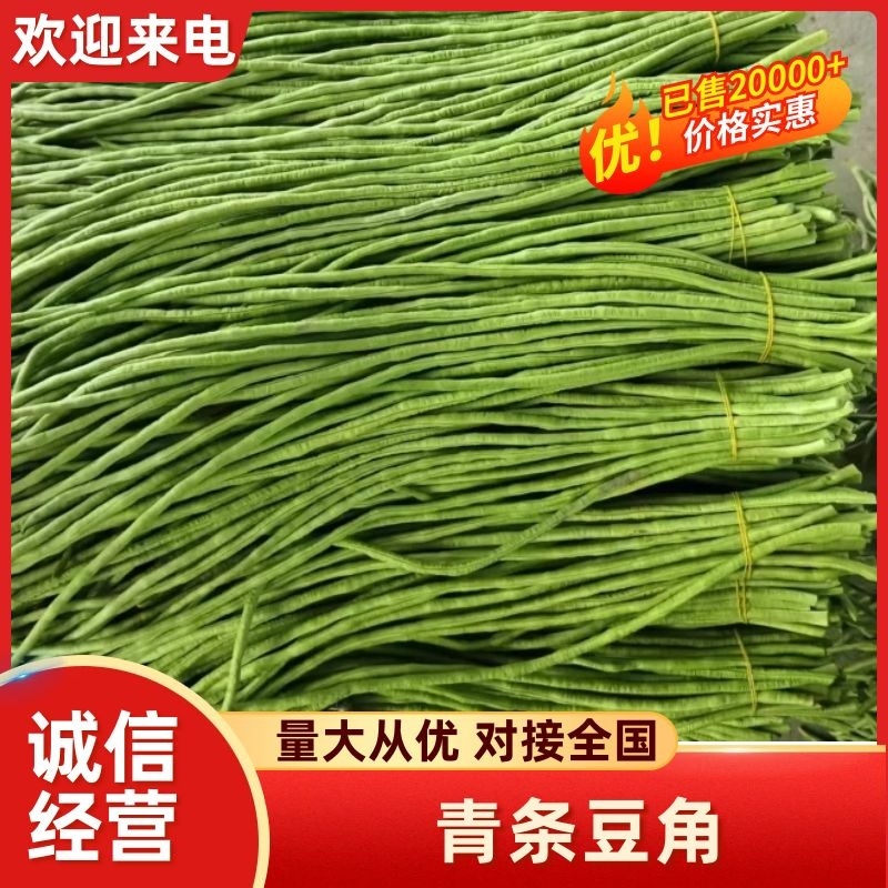 【推荐】广西精品豆角青条豆角产地直发品质保障价优欢迎