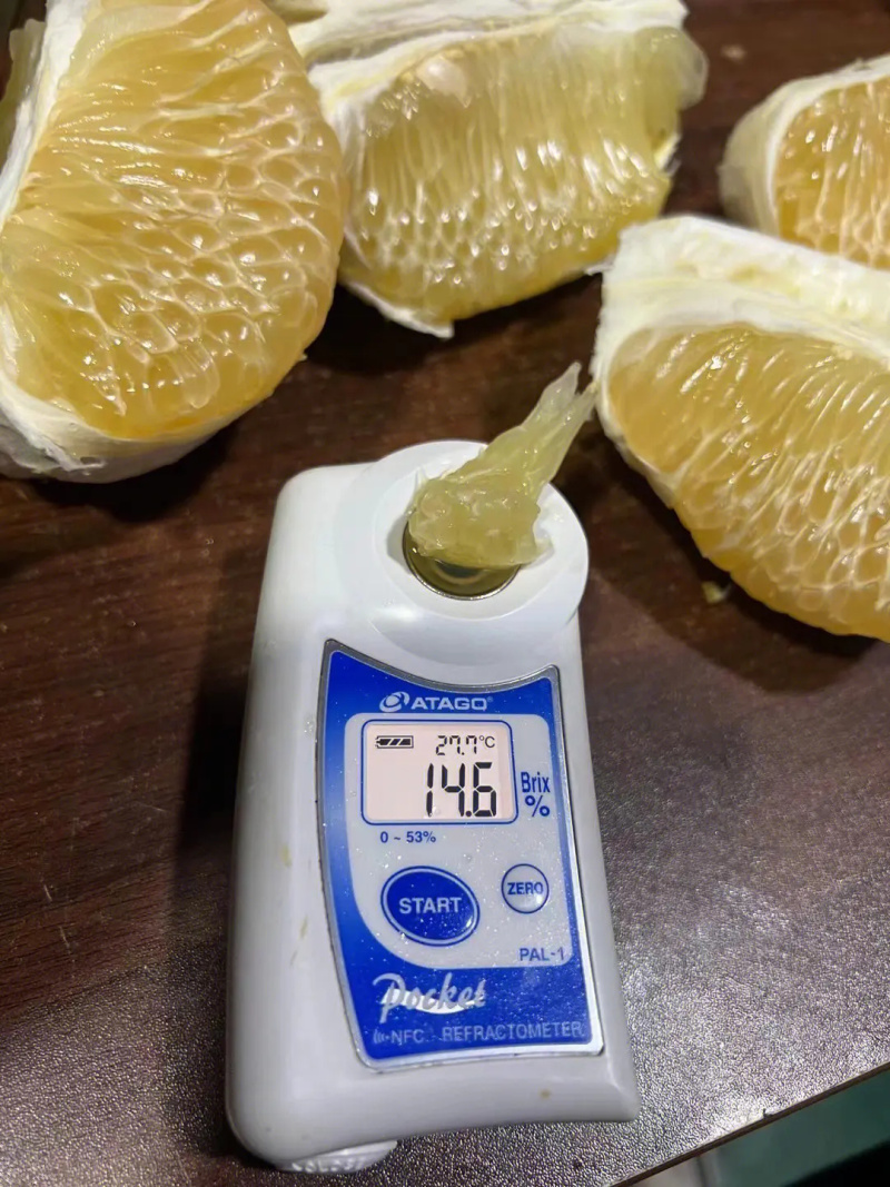 白柚湖北白柚产地发货品质包装支持视频看货欢迎您咨询
