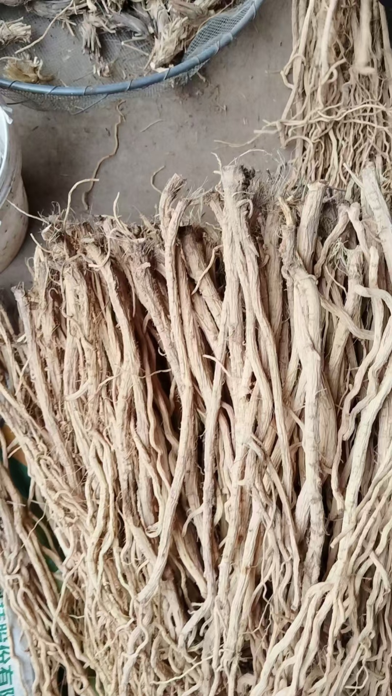 甘肃精品防风，质优价廉，一手货源产地直发，质量保证