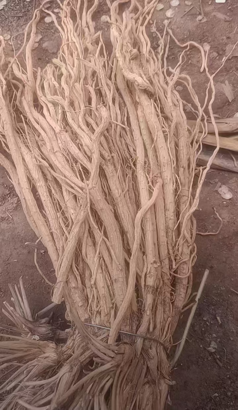 甘肃精品防风，质优价廉，一手货源产地直发，质量保证