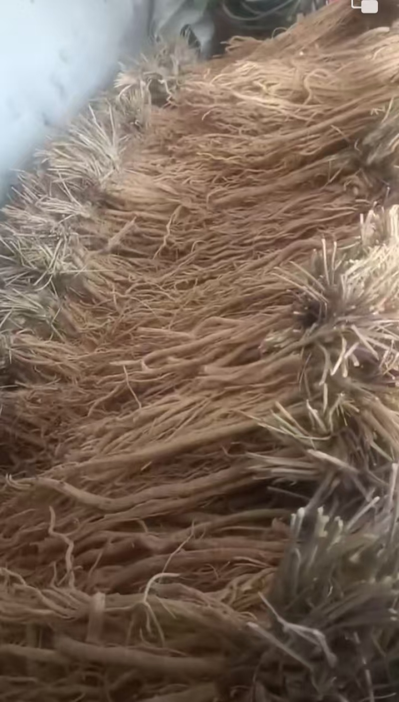 甘肃精品防风，质优价廉，一手货源产地直发，质量保证