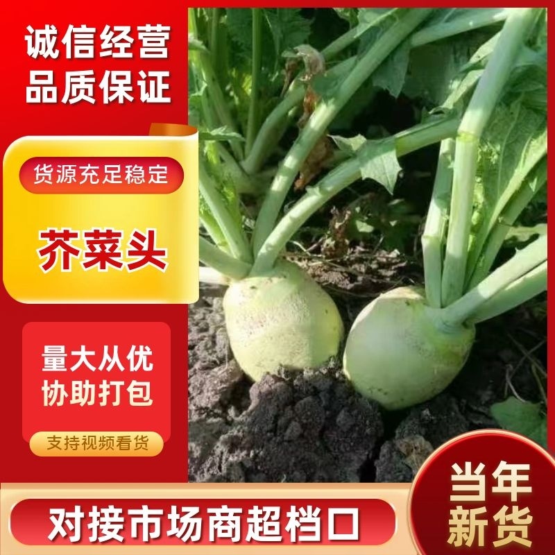 芥菜头，5两以上，产地直发加工厂，商超，电商