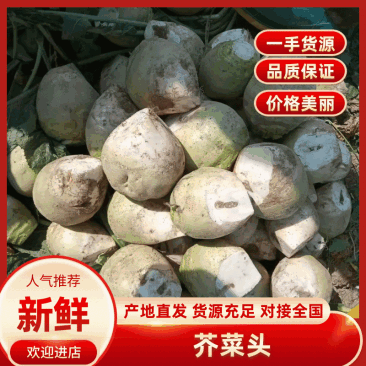 芥菜头，5两以上，产地直发加工厂，商超，电商