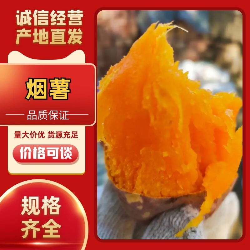 【精品烟薯】河北红薯软弱香甜品质保证大量供应对接全国客户