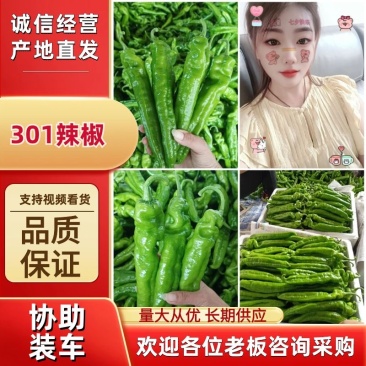 【热卖中】301尖椒山东鲜辣椒产地对接电商批发市场